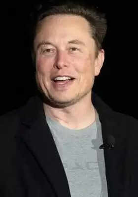 Elon Musk still firing coders at Twitter amid Thanksgiving feasts